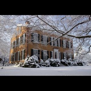 Meet your Posher, Annette